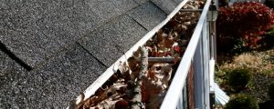 Trusted Gutter Cleaning Service