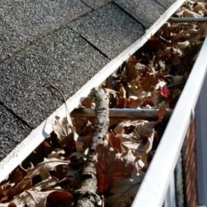 Gutters Cleaning Service